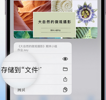 太白apple维修中心分享iPhone文件应用中存储和找到下载文件