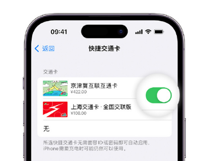 太白apple维修点分享iPhone上更换Apple Pay快捷交通卡手绘卡面 