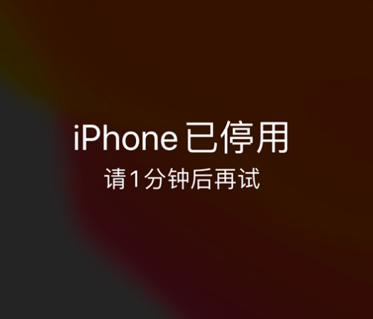 太白苹果手机维修分享:iPhone 显示“不可用”或“已停用”怎么办？还能保留数据吗？ 