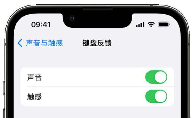 太白苹果手机维修分享iPhone 14触感键盘使用方法 