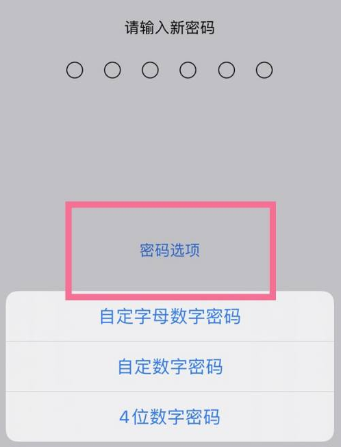 太白苹果14维修分享iPhone 14plus设置密码的方法 