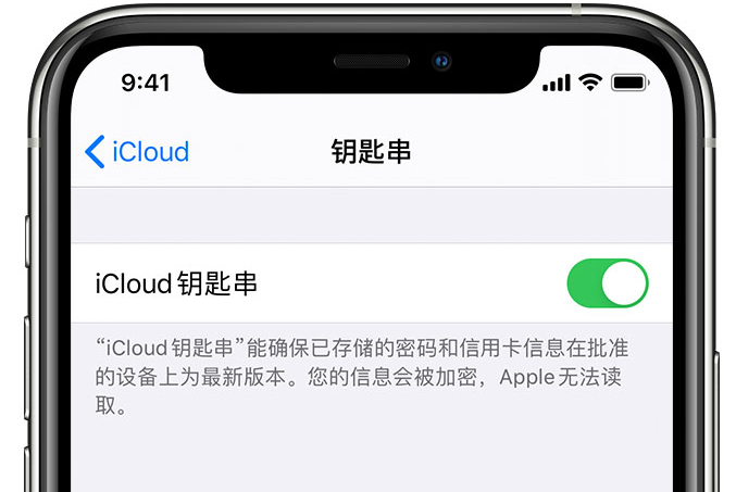 太白苹果手机维修分享在 iPhone 上开启 iCloud 钥匙串之后会储存哪些信息 