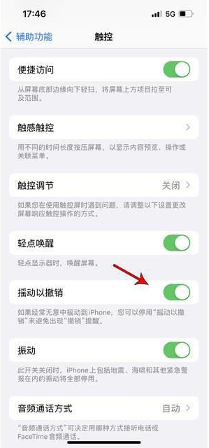 太白苹果手机维修分享iPhone手机如何设置摇一摇删除文字 